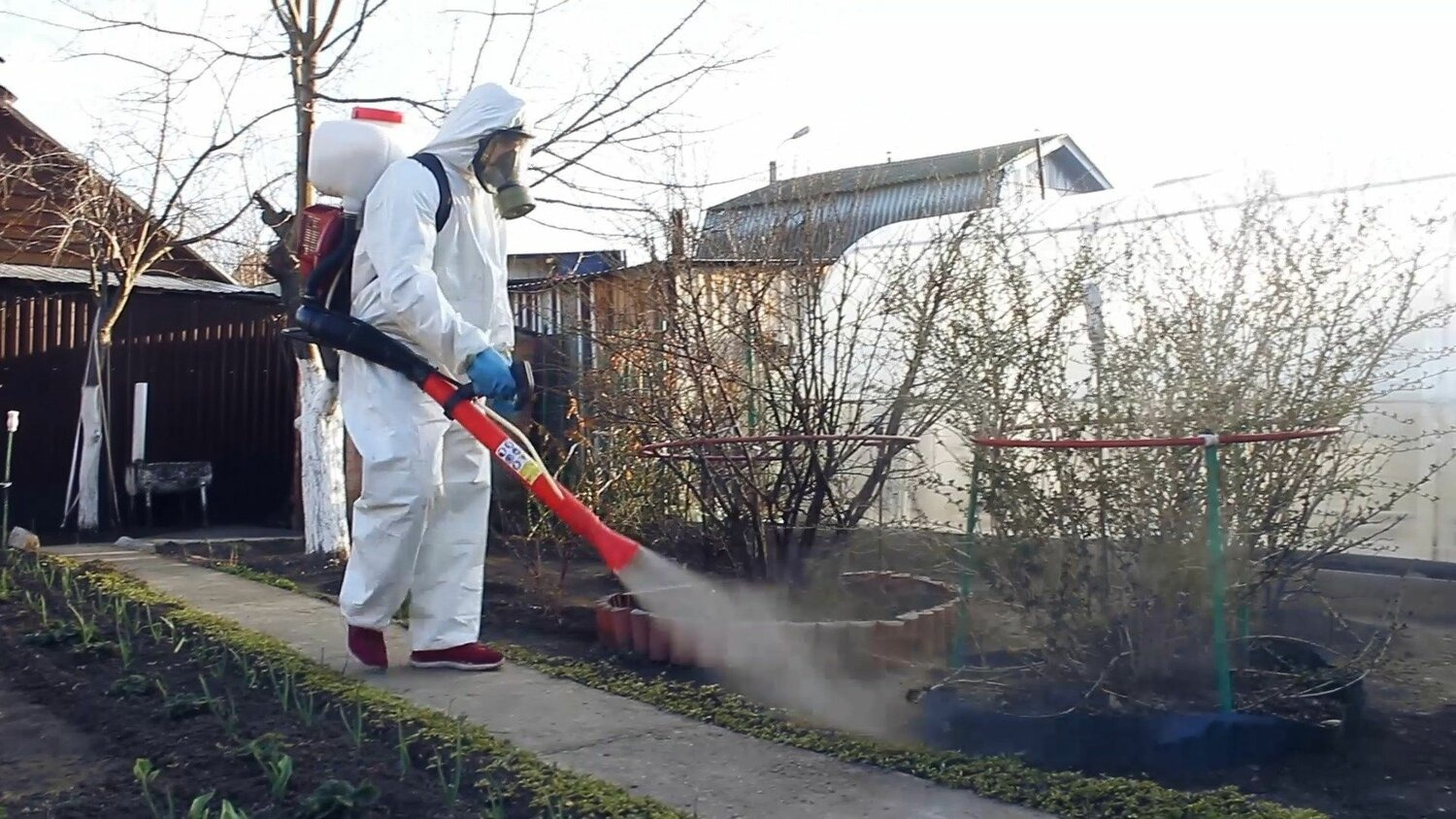 ФОТО Уничтожение муравьёв в Красногорске