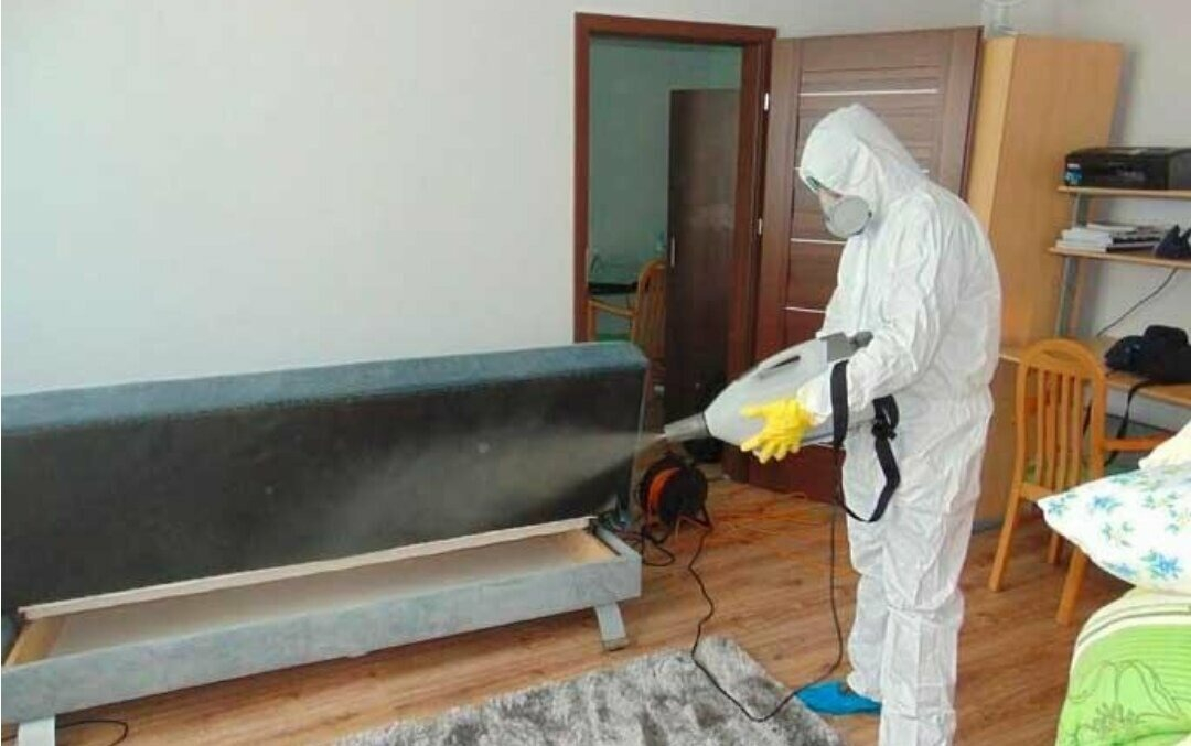 ФОТО Уничтожение блох в Красногорске