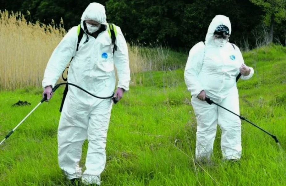 ФОТО Обработка от клещей в Красногорске