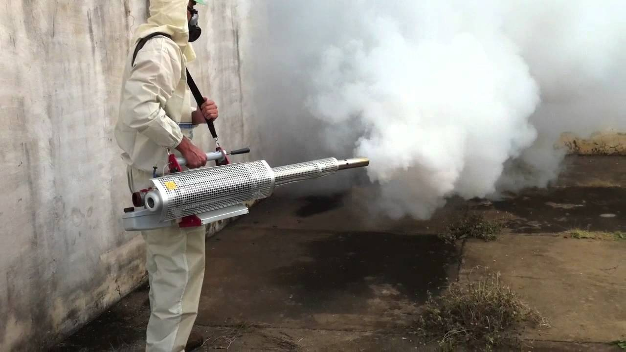 ФОТО Уничтожение мух в Красногорске