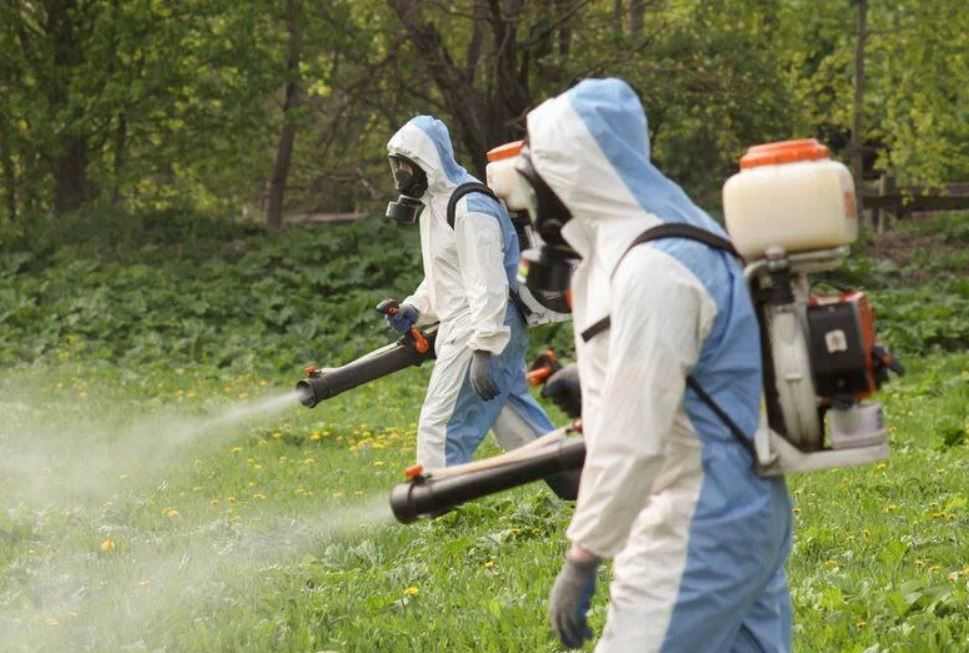 ФОТО Что такое дезинсекция в Красногорске? | подробно