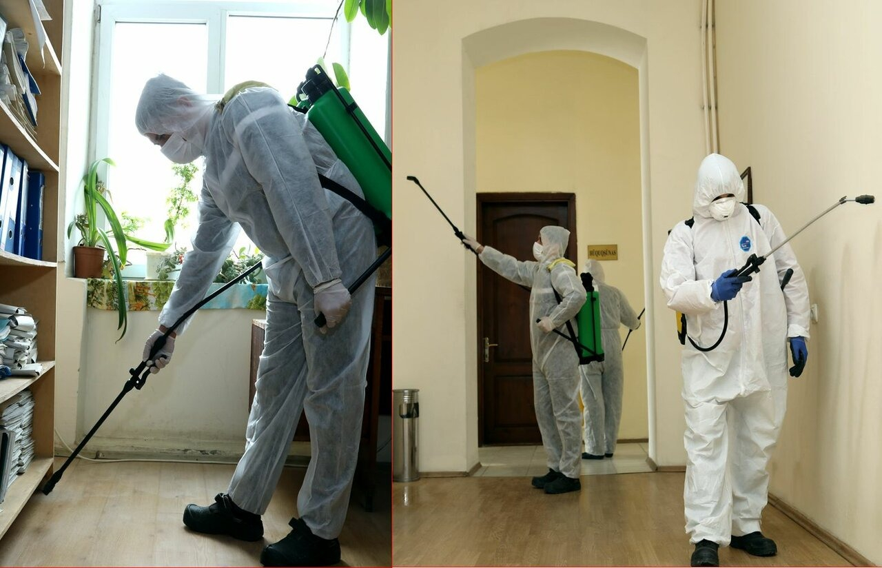 ФОТО Требуется ли лицензия для дезинсекции и дезинфекции в Красногорске? | подробно