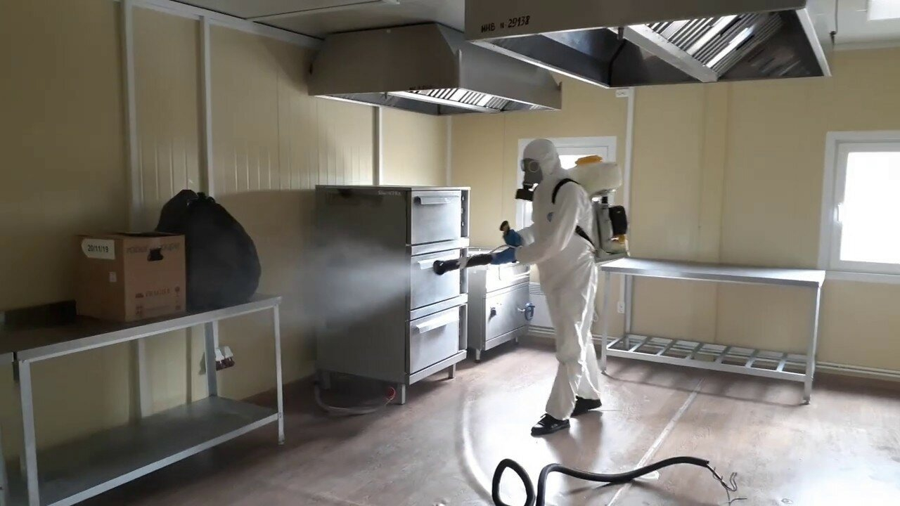 ФОТО Можно ли провести дезинсекцию самостоятельно и какие существуют риски в Красногорске? | подробно