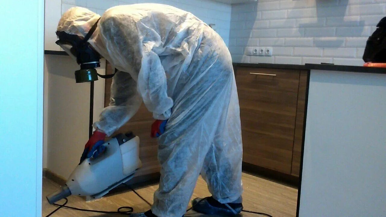 ФОТО Как подготовить домашних животных к обработке от насекомых в Красногорске? | подробно