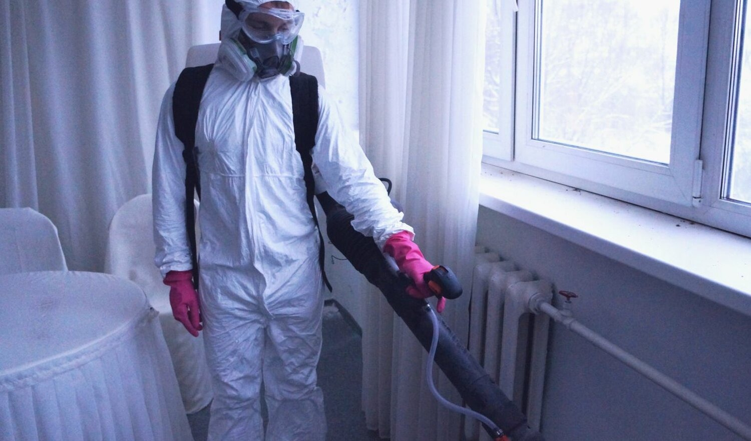 ФОТО Нужно ли выносить растения при дезинсекции в Красногорске? | подробно