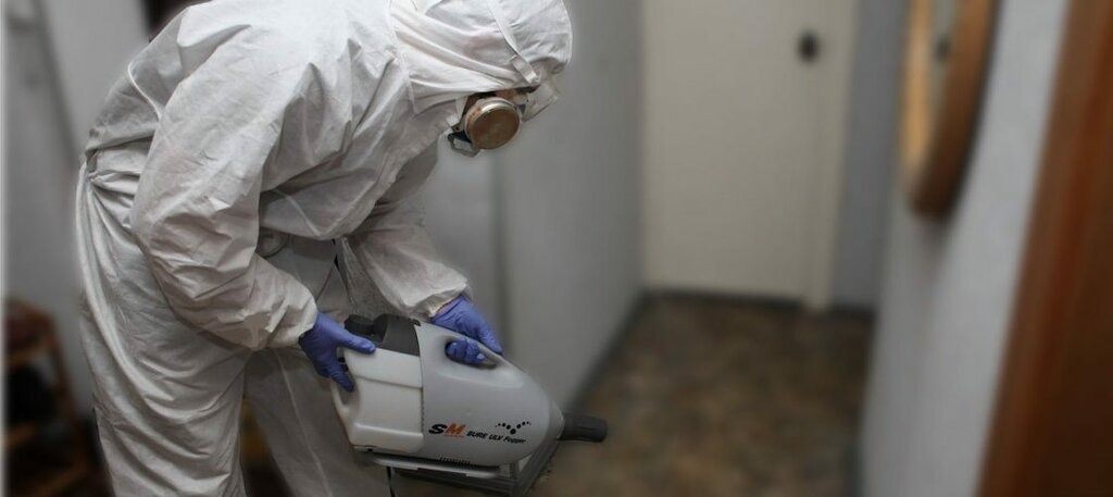 ФОТО Остаются ли следы после обработки квартиры от насекомых в Красногорске? | подробно