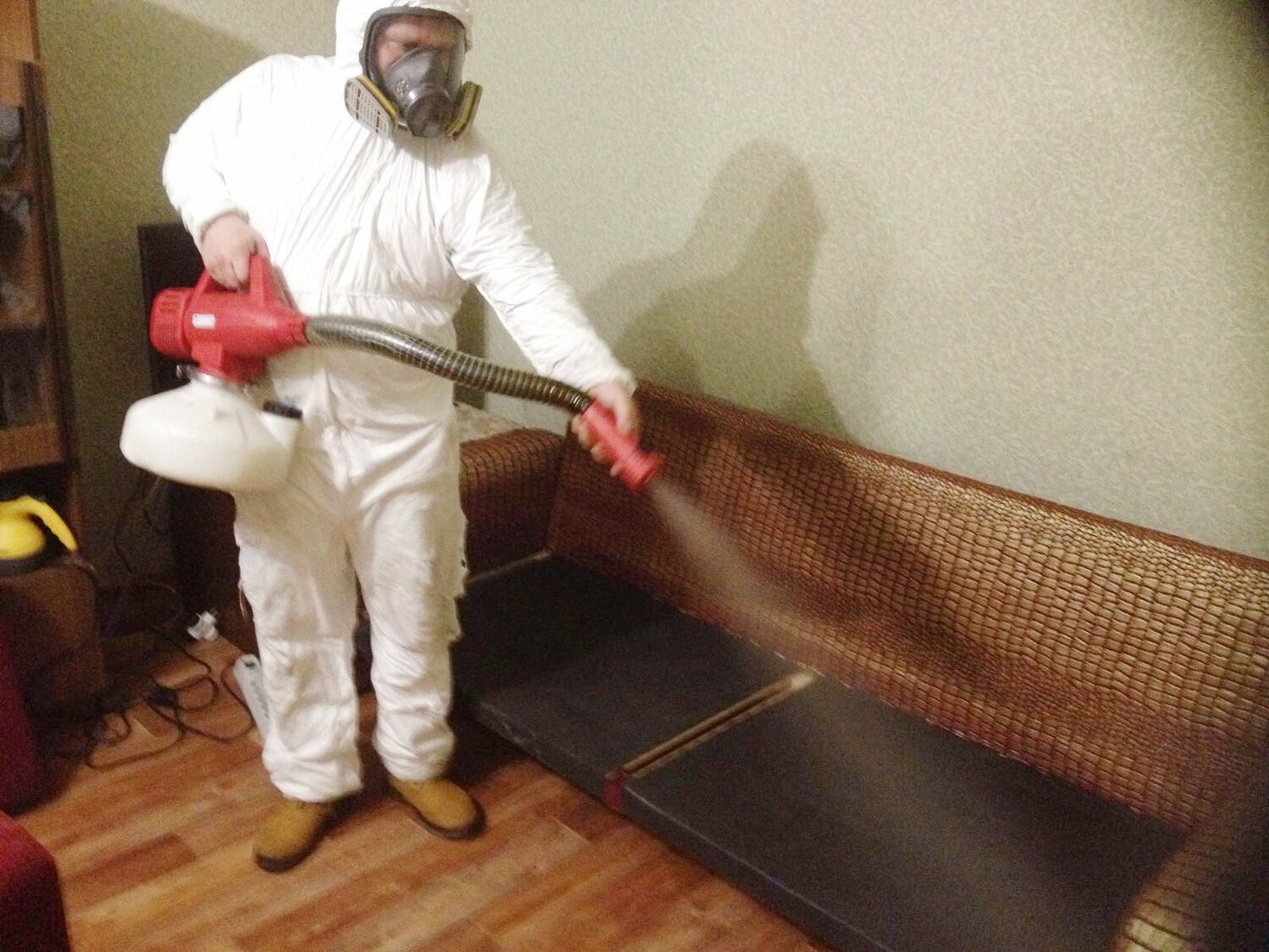 ФОТО Когда можно вернуться в помещение после дезинсекции в Красногорске? | подробно