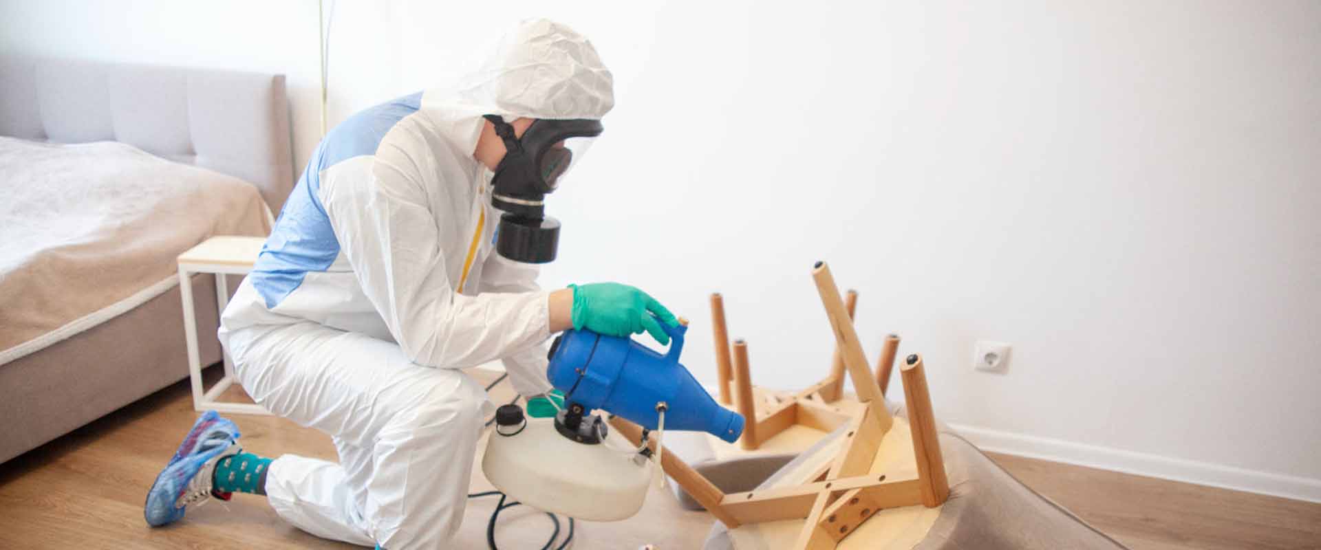 фото: Уничтожение постельных клопов с 1-го раза с гарантией за 30-60 мин. в Красногорске без предоплаты