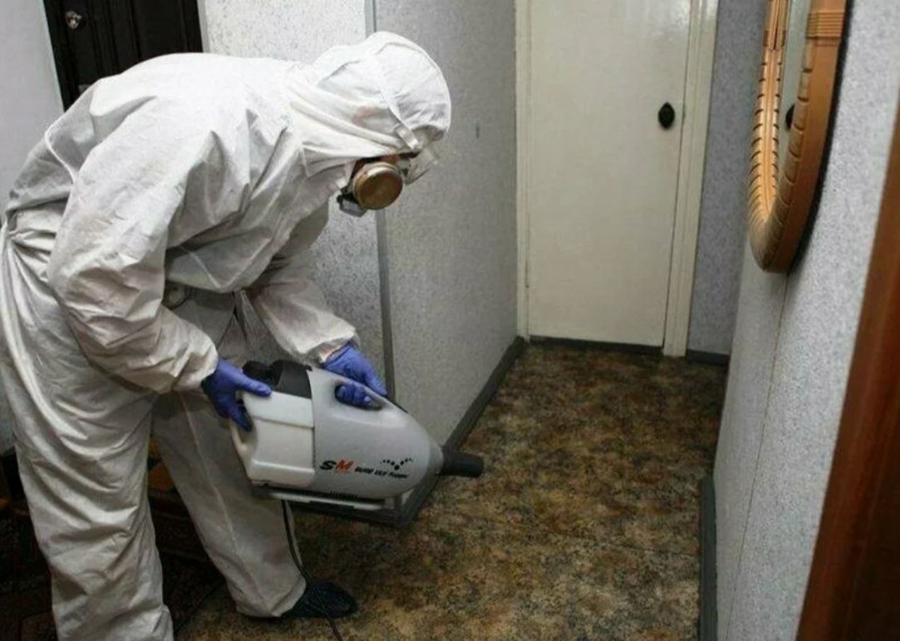 фото: Профессиональная дезинсекция в Красногорске: <br/>+7-909-173-42-96