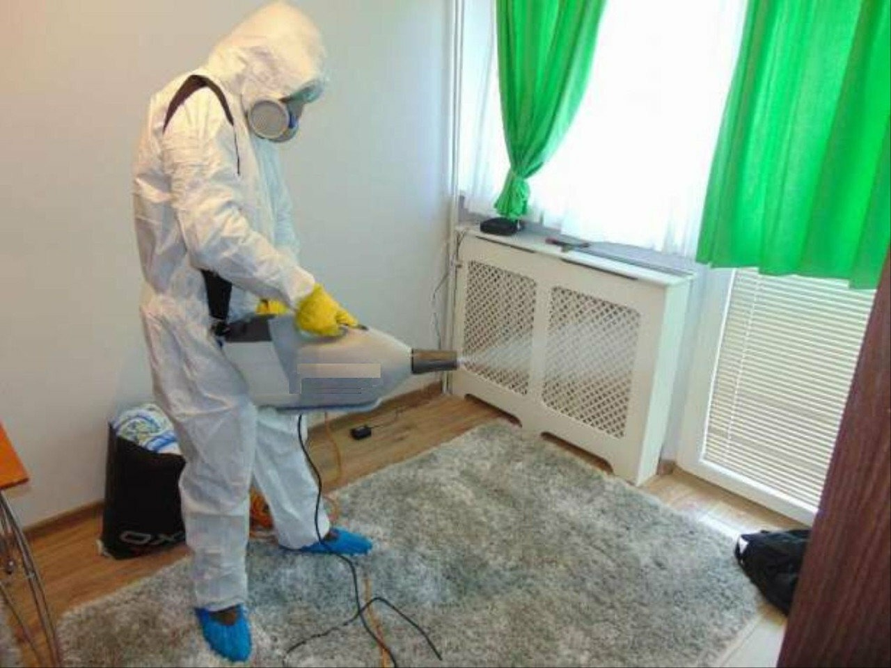 фото: Уничтожение насекомых навсегда с 1-го раза с гарантией за 30-60 мин. в Красногорске